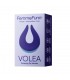 VOLLEY - BASE BLEU CLAIR / VIOLET FONCÉ