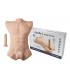 SILEXD TORSO APOLLO L FLEISCH + DILDO 17'7 CM