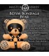 BDSM BEAR PLUSH