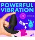 VIBRATOR- UND ROTATORSTECKER MIT SCHWARZER USB-STEUERUNG