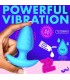 PLUG VIBRADOR Y ROTADOR C/ MANDO USB AZUL