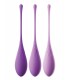 KEGEL TRAIN-HER SET PURPLE