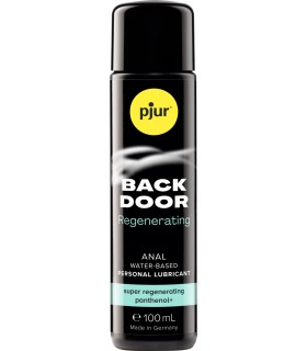 BACKDOOR PANTHENOL B/ AGUA 100 ML