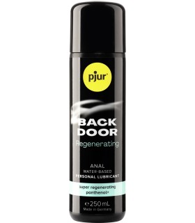 BACKDOOR PANTHENOL B/ AGUA 250 ML